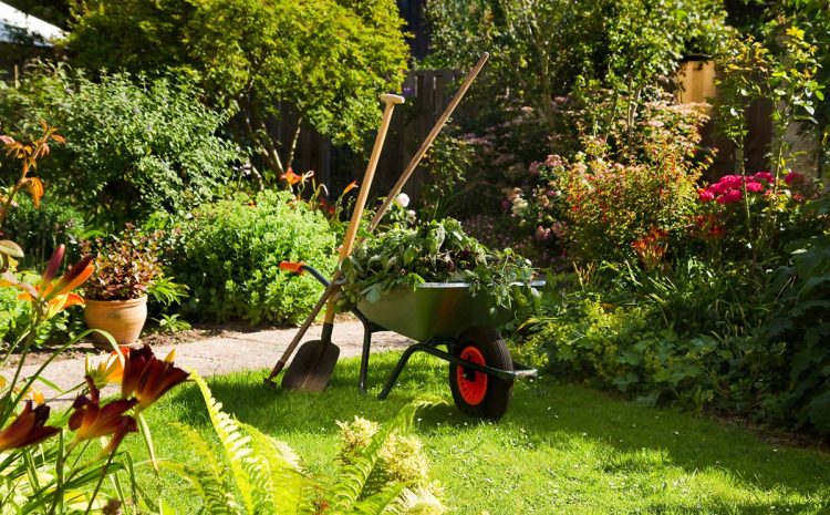 Garden & Landscaping